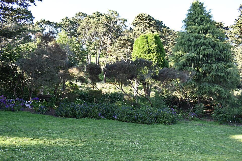 Golden Gate Park