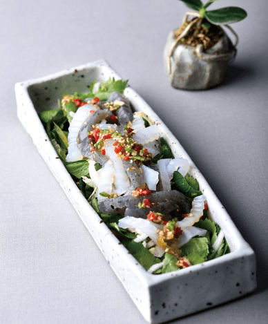 Two Kinds of Jelly Salad